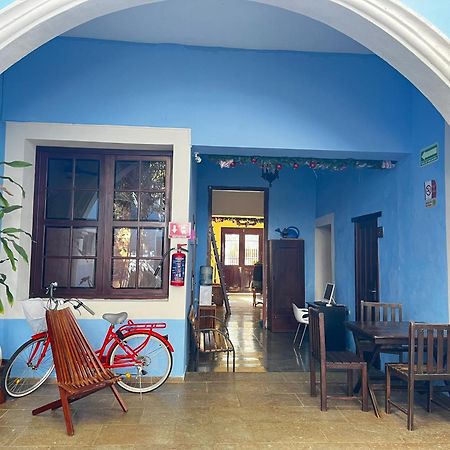 Hotel Maculis كامبيش المظهر الخارجي الصورة